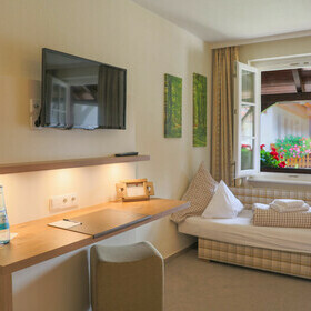 TV im Zimmer mit Einzelbett des Gasthaus goldener Engel